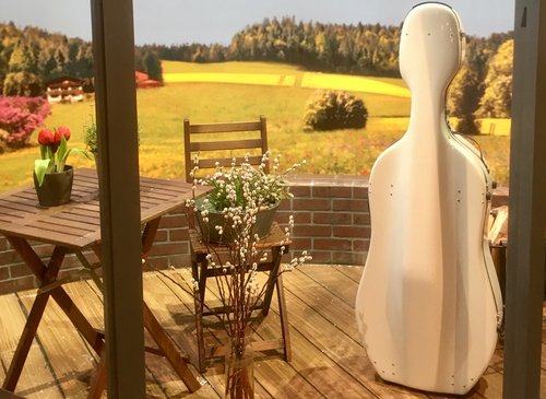Ein weißer Cellokasten steht vor einer virtuellen Kulisse mit einer Terrasse und blick in eine alpine Landschaft.